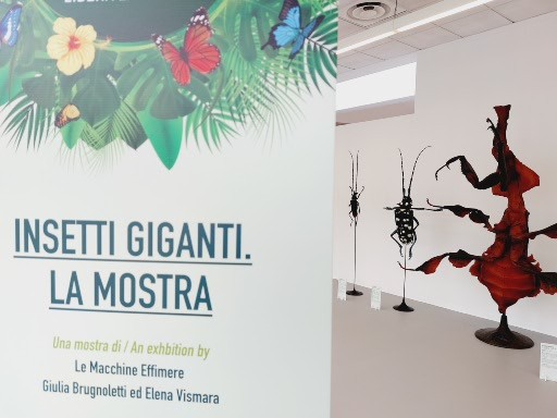 Insetti GIGANTI. La mostra