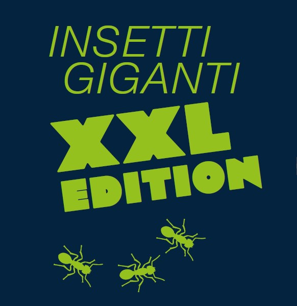 Insetti GIGANTI. XXL Edition
