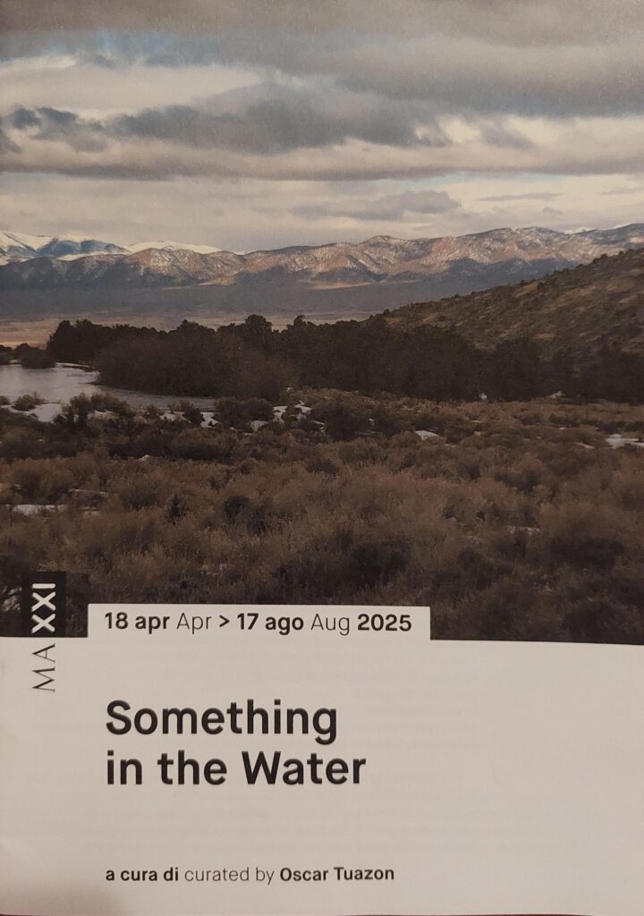 Locandina mostra Something in the Water
